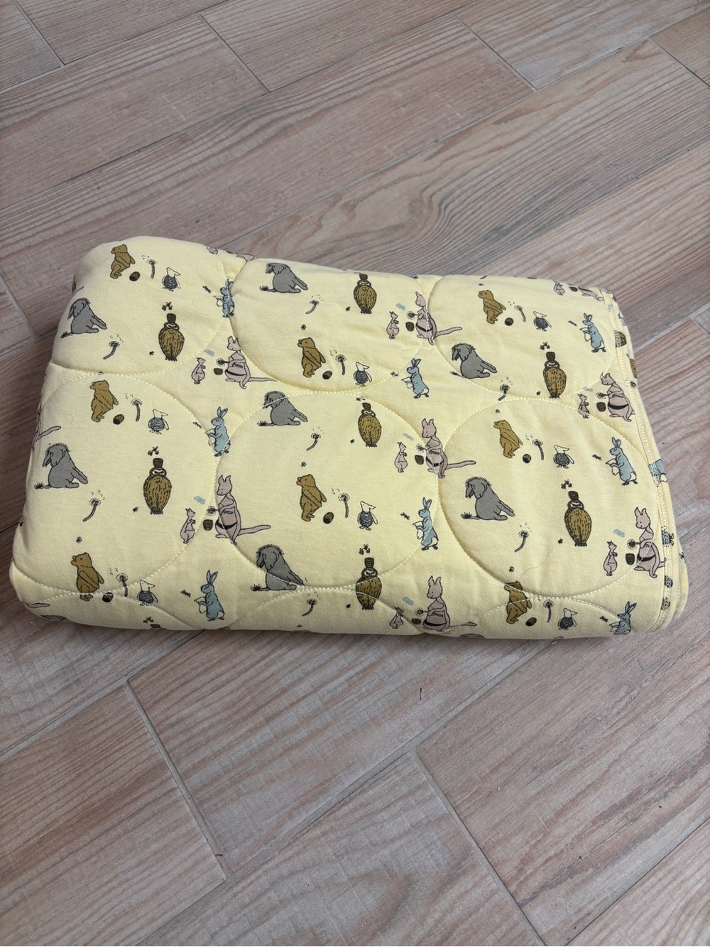 Kate Quinn Winnie the Pooh quilt